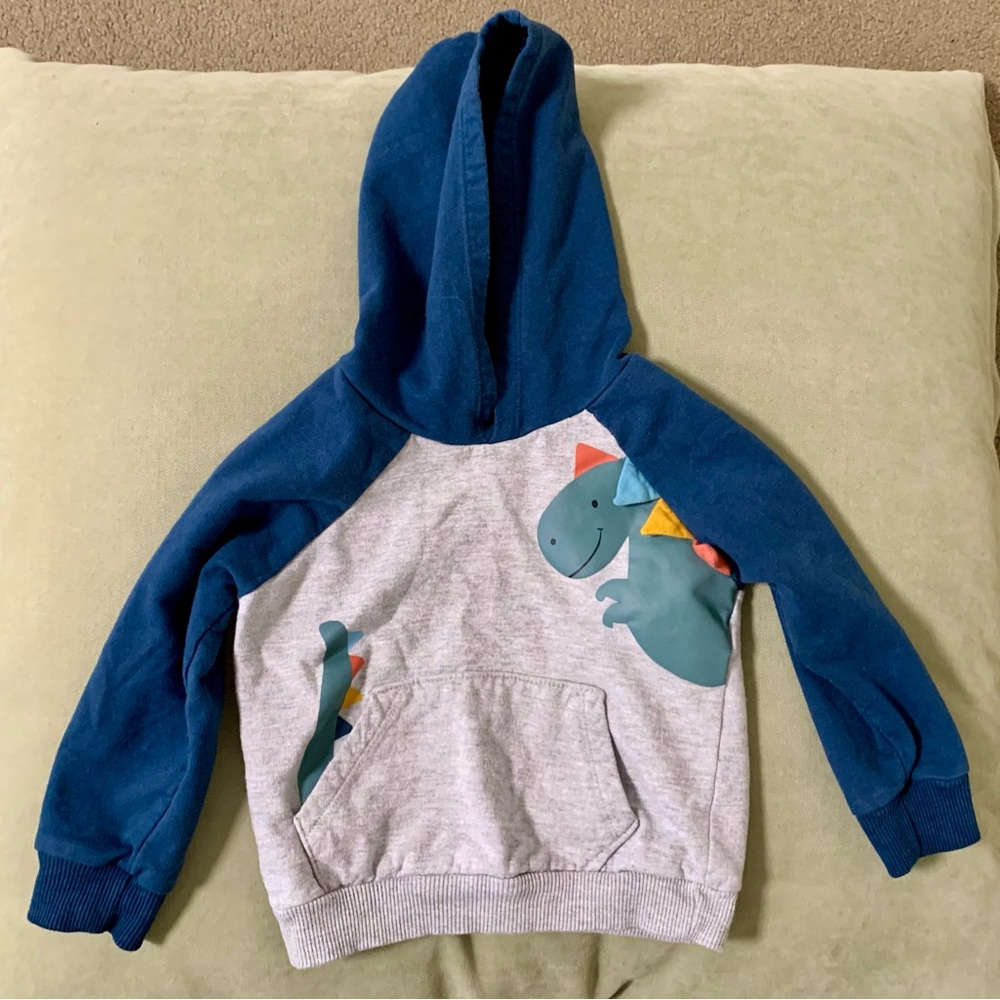Dinosaur Hoodie and Pants Set